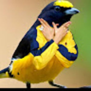 Meet your Posher, David